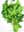09061999: PERSIL PLAT