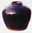 22220962: fermentation pot of salted cabbage