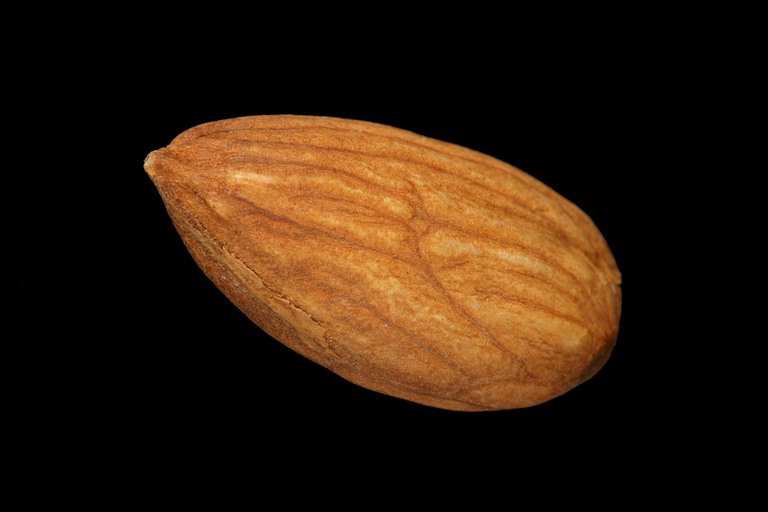 almonddeco.jpg