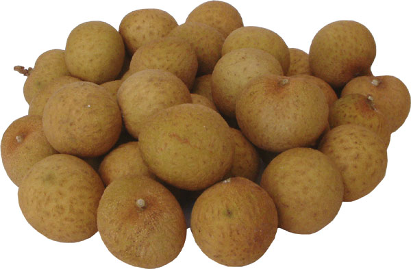 longan.jpg